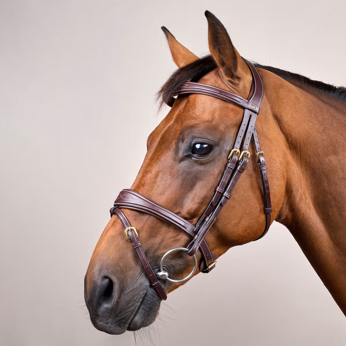 Dy'on D Collection Anatomic Flash Noseband Bridle - Image 3