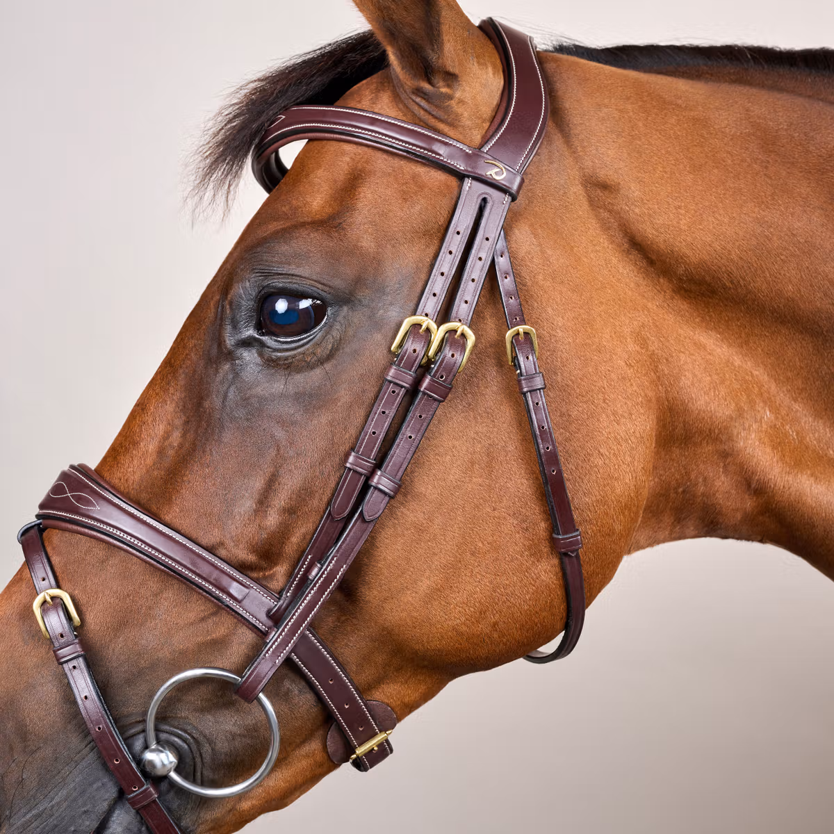 Dy'on D Collection Anatomic Flash Noseband Bridle - Image 4
