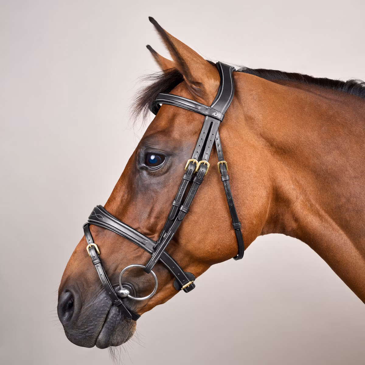 Dy'on D Collection Anatomic Flash Noseband Bridle - Image 5