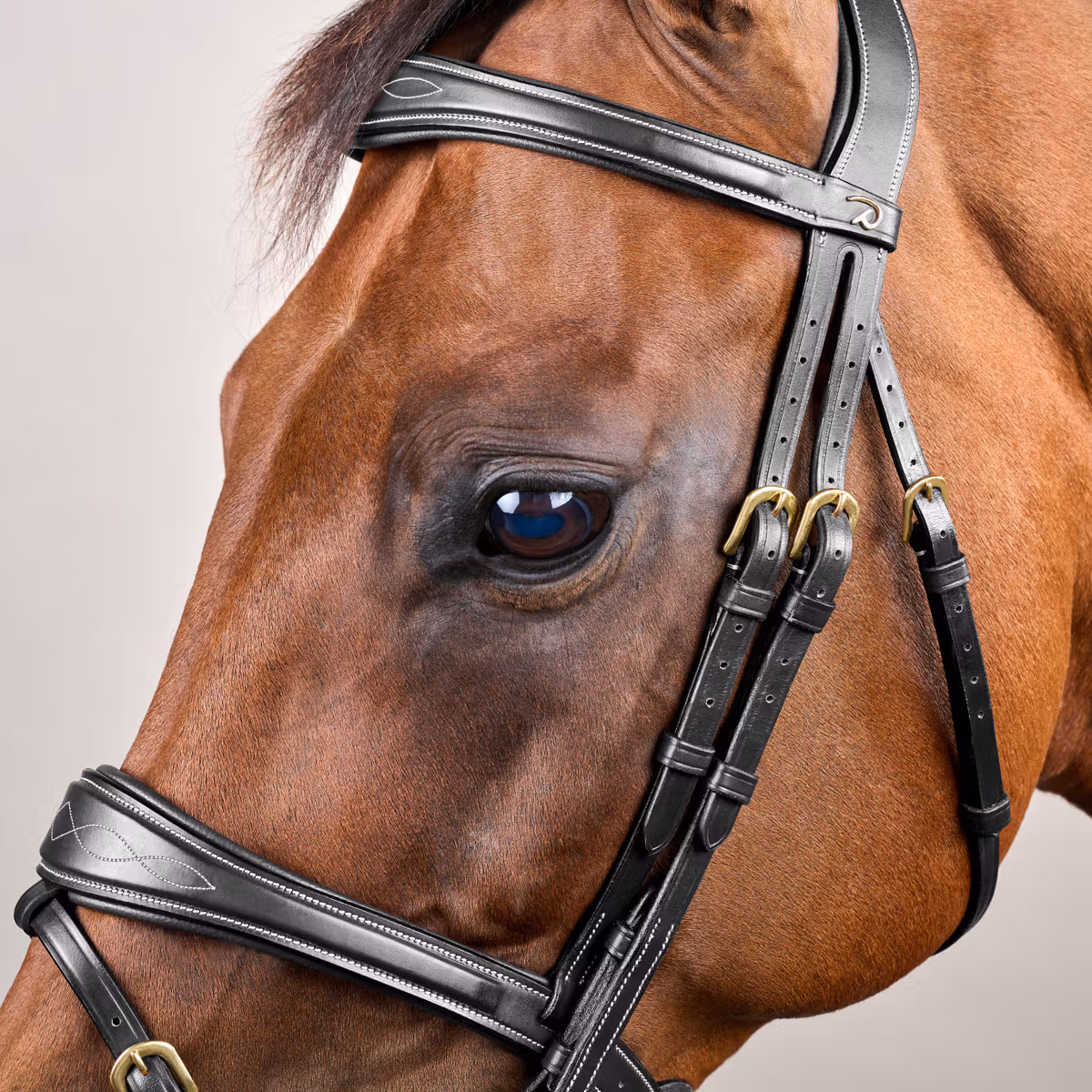 Dy'on D Collection Anatomic Flash Noseband Bridle - Image 6