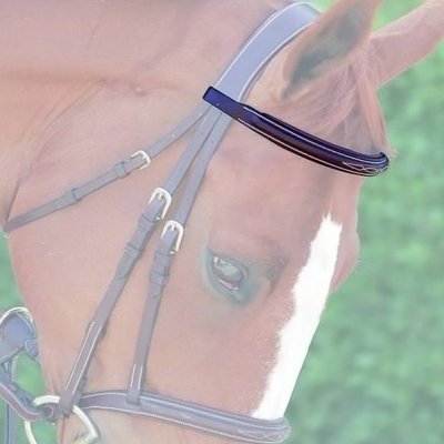 Dy'on D Collection Straight Browband