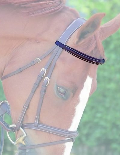 Dy'on D Collection Straight Browband
