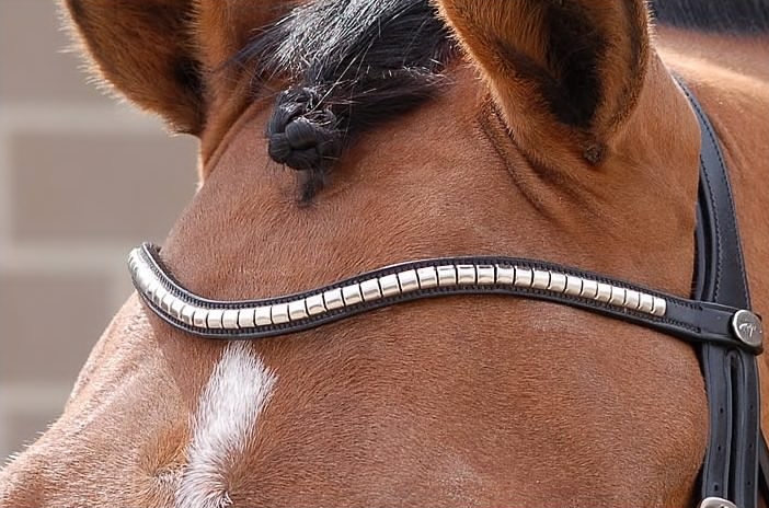 Dy'on New English Collection Silver Clincher V Shaped Browband