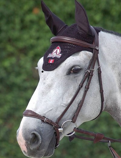 Dy'on New English Collection Adjustable Drop Noseband Bridle
