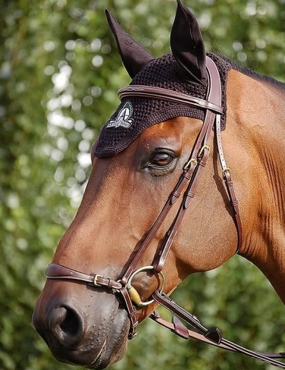 Dy'on D Collection Adjustable Drop Noseband Bridle