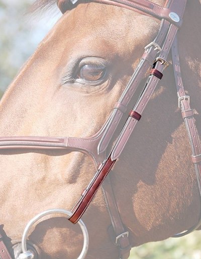Dy'on New English Collection Cheek Pieces