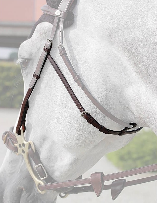 Dy'on New English Collection Hackamore Cheek Pieces (Pair)
