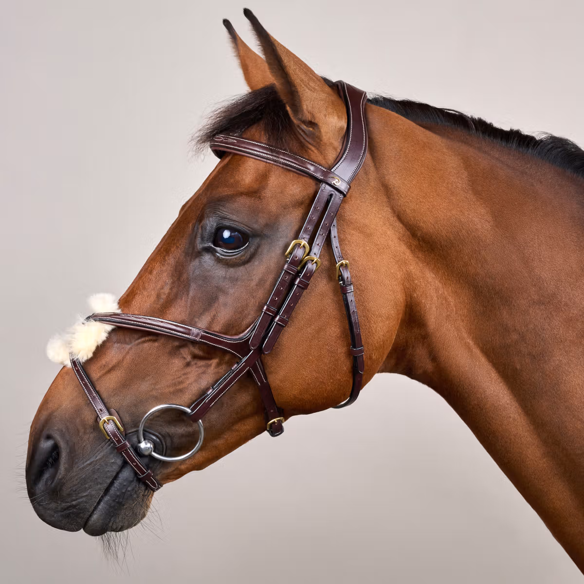 Dy'on D Collection Figure 8 Noseband Bridle