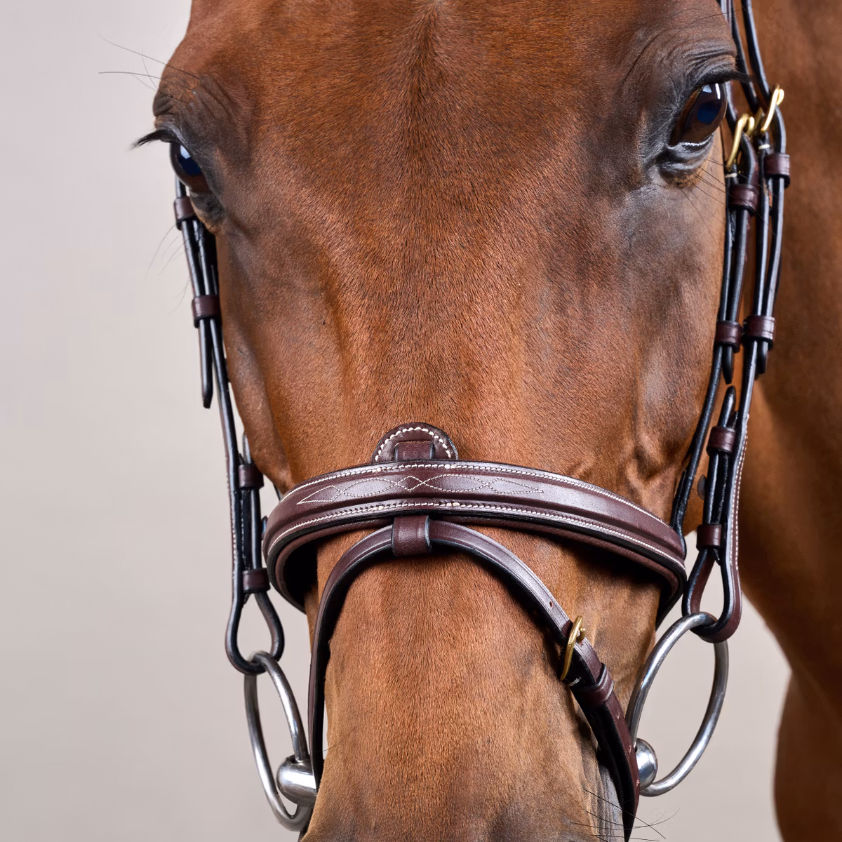 Dy'on D Collection Flash Noseband Bridle - Image 4
