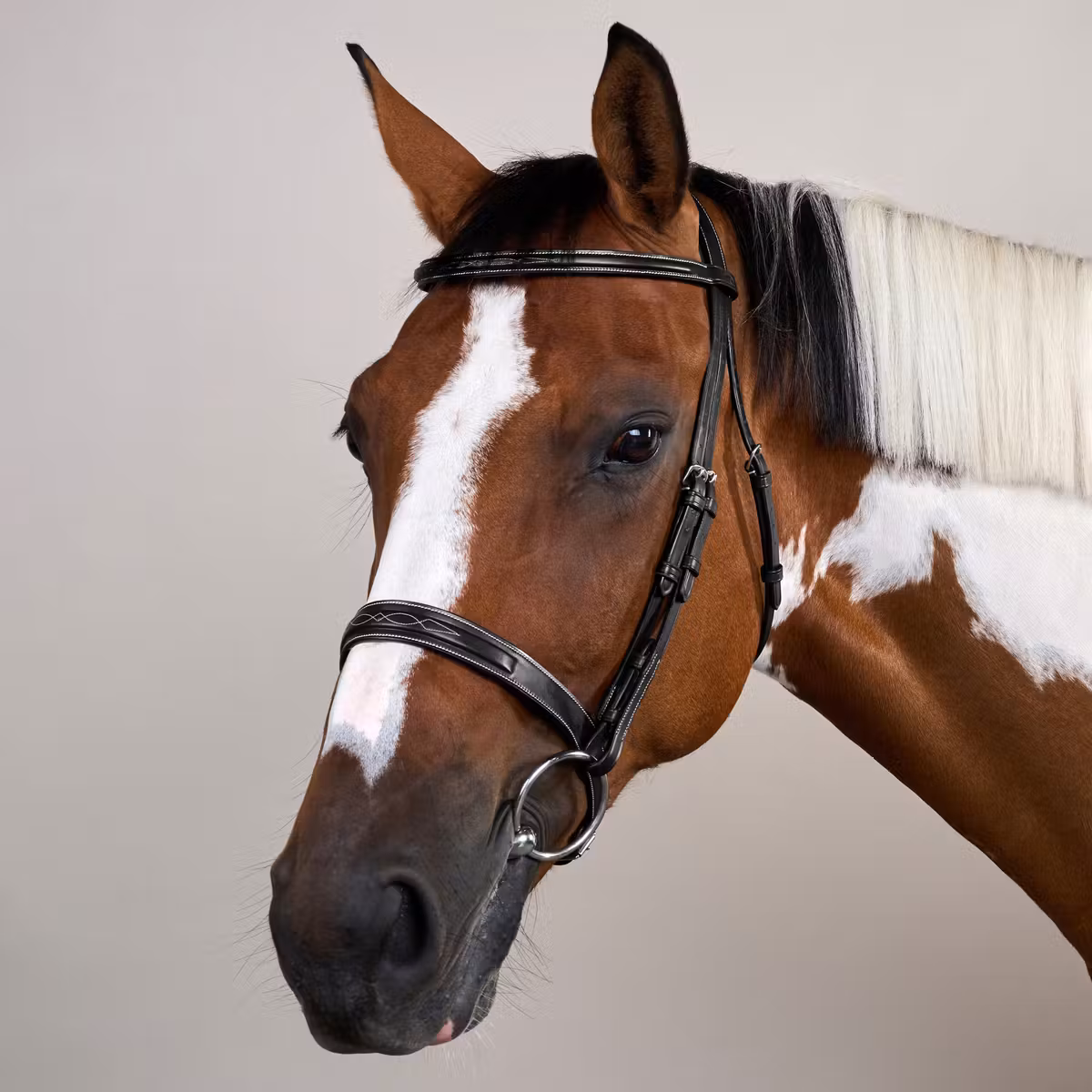 Dy'on US Collection Cavesson Hunter Bridle - Image 2