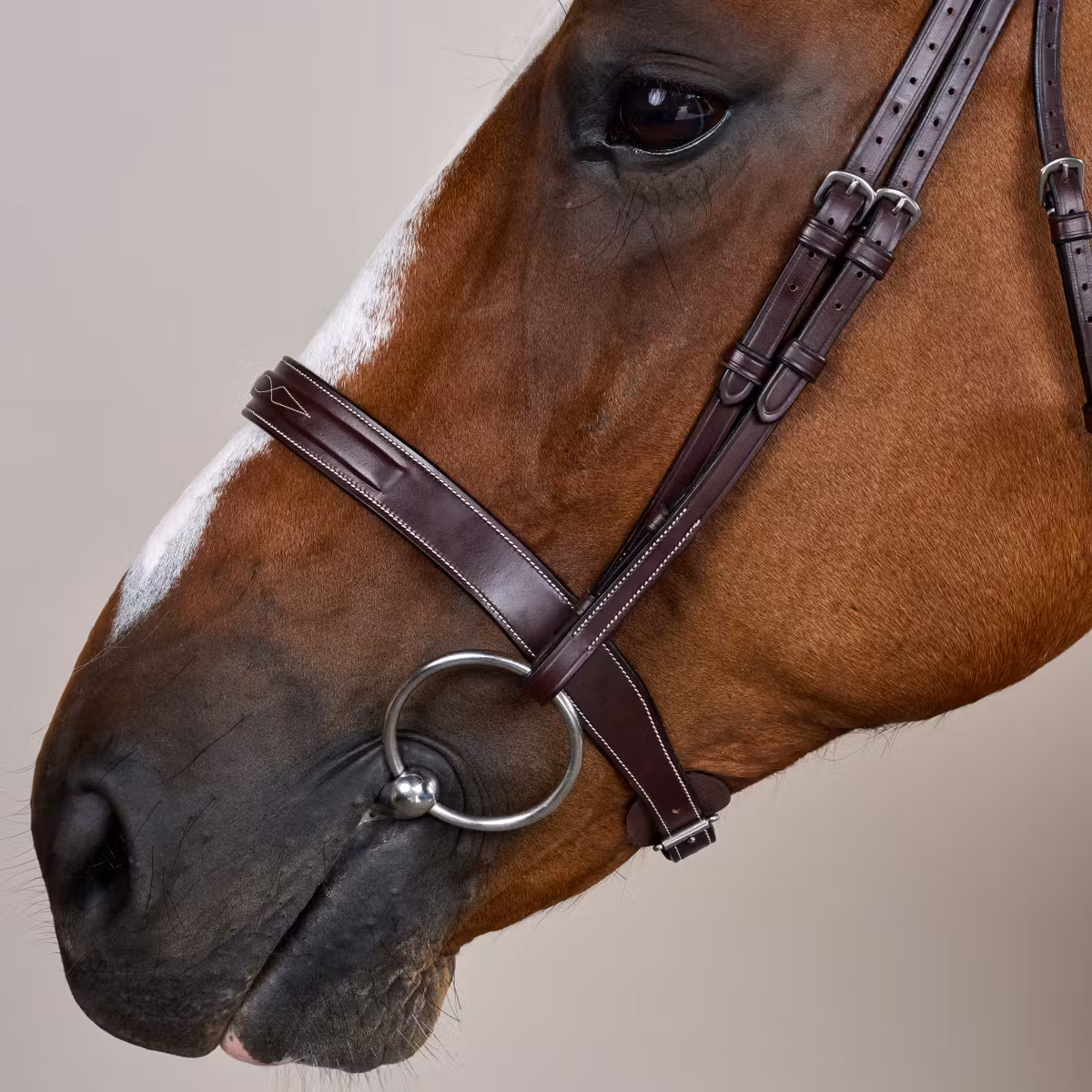 Dy'on US Collection Cavesson Hunter Bridle - Image 3