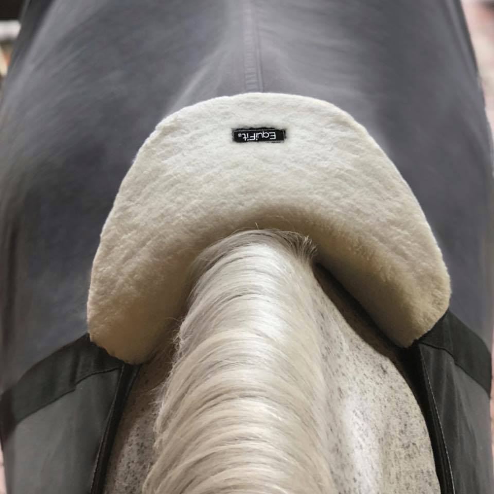 EquiFit Wither Shield - Image 2