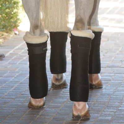 EquiFit Sheepswool T-Foam™ Standing Wraps