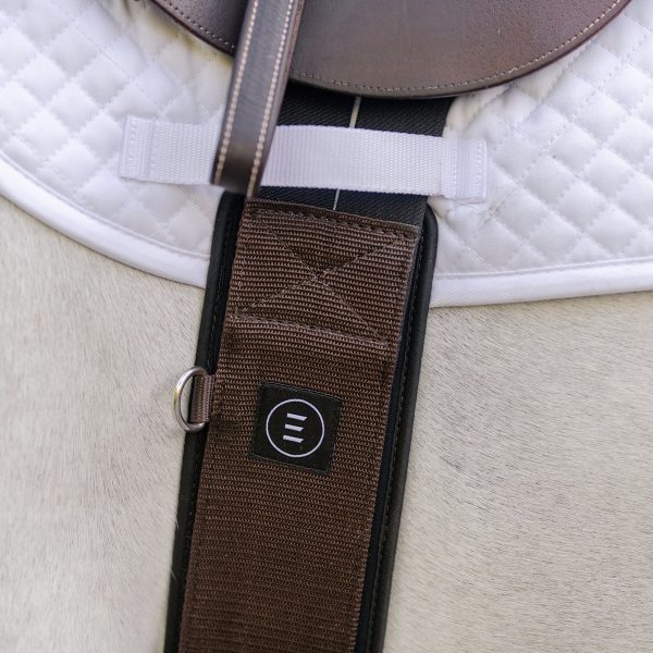 EquiFit Essential Schooling Girth - Image 3
