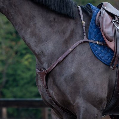 Dy'on D Collection Long Bridge Breastplate