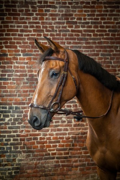 Dy'on D Collection Adjustable Drop Noseband Bridle - Image 2