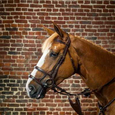 Dy'on D Collection Double Noseband Bridle