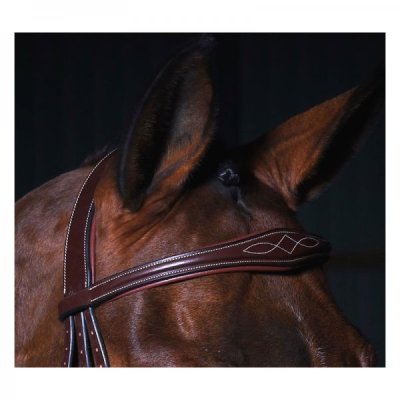 Dy'on D Collection Anatomic Browband