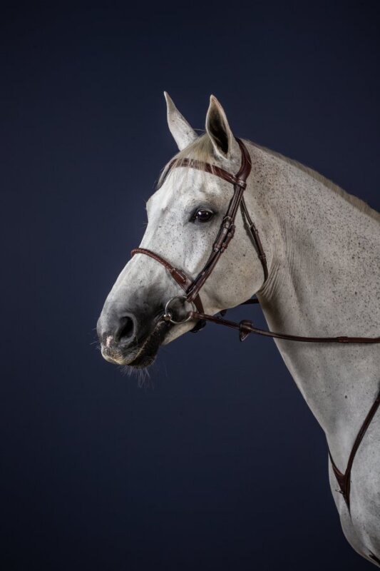 Dy'on New English Collection Leather Covered Rope Noseband - Image 2