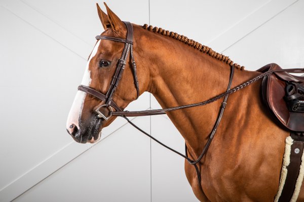 Dy'on Hunter Collection Standing Martingale