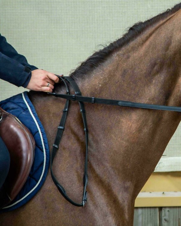 Dy'on New English Collection 5/8" Web Reins with 9 Leather Loops - Image 2