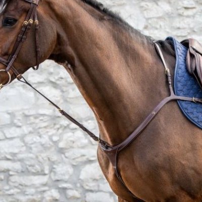 Dy'on D Collection Standing Martingale Attachment