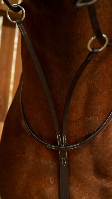 Dy'on Working Collection Running Martingale - Image 2