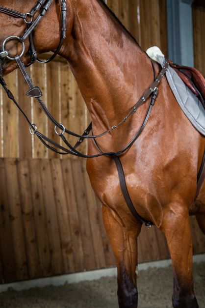 Dy'on Working Collection Running Martingale