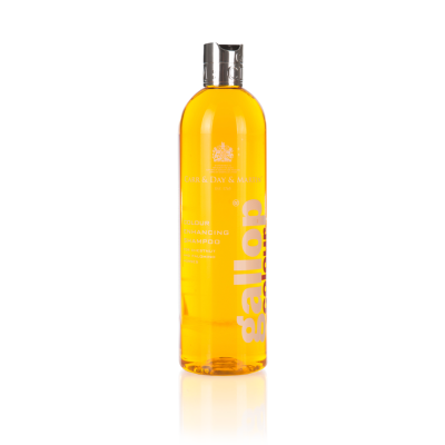 CDM Gallop Colour Shampoo – Chestnut & Palomino