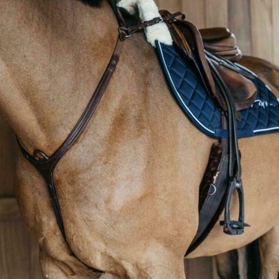 Dy'on New English Collection Plaited Bridge Breastplate