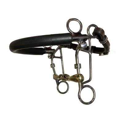 French Mouth Combination bit