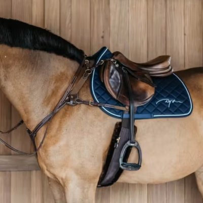 Dy'on D Collection 5 Points Breastplate With Elastic