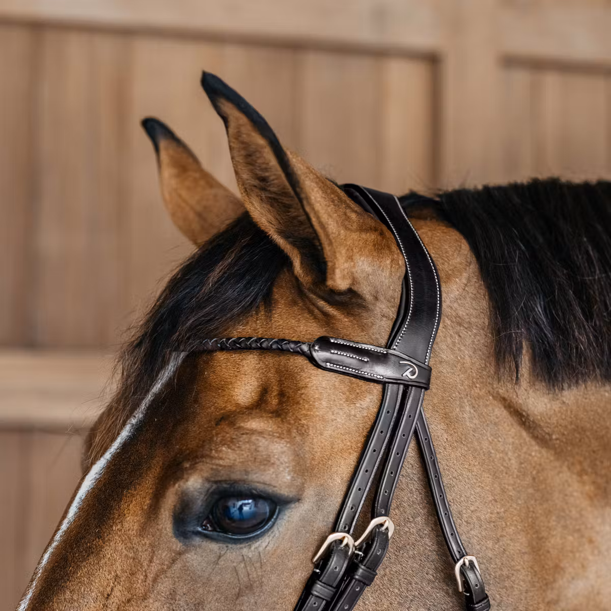 Dy'on D Collection Braided Browband - Image 2