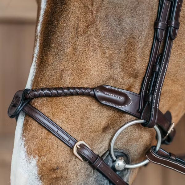 Dy'on D Collection Braided Flash Noseband Bridle - Image 3