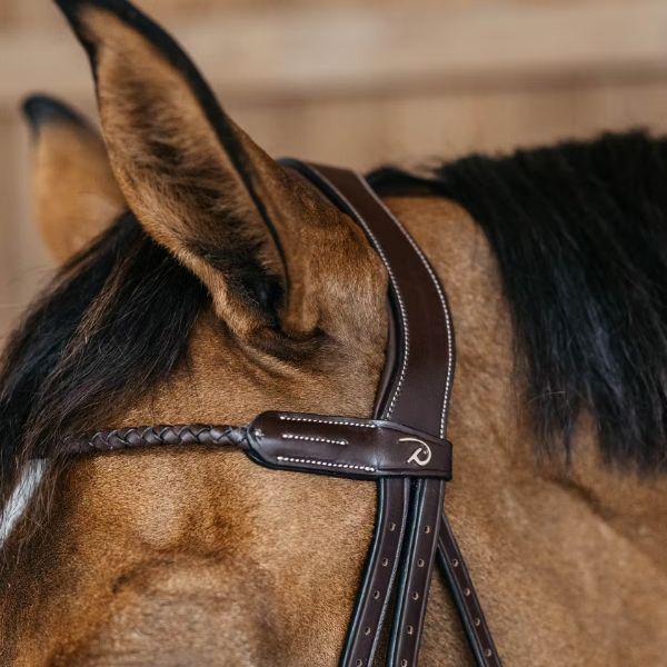 Dy'on D Collection Braided Flash Noseband Bridle - Image 4