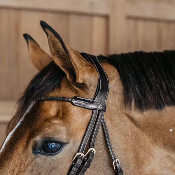 Dy'on D Collection Braided Flash Noseband Bridle - Image 7