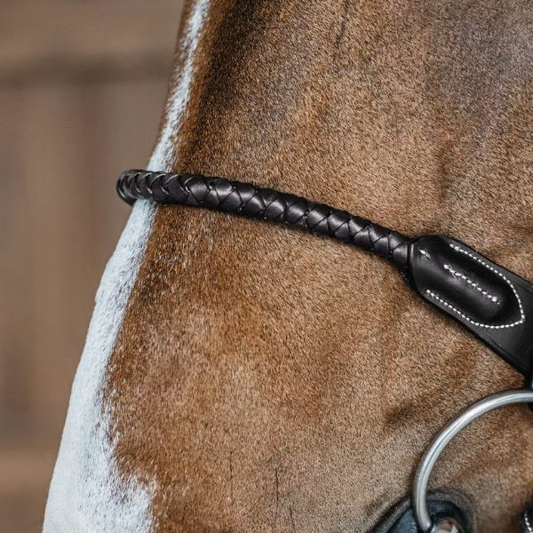 Dy'on D Collection Braided Flash Noseband Bridle - Image 8