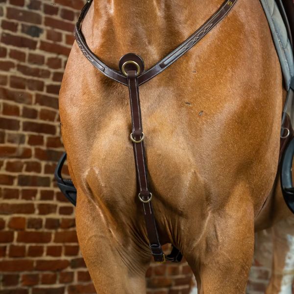 Dy'on D Collection Breastplate - Image 3