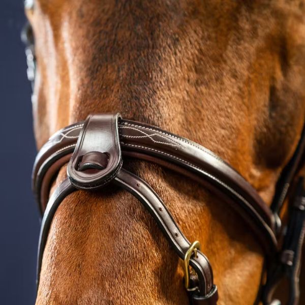 Dy'on D Collection Flash Nose Strap 1/2" With 2 Removable Attachments - Image 2