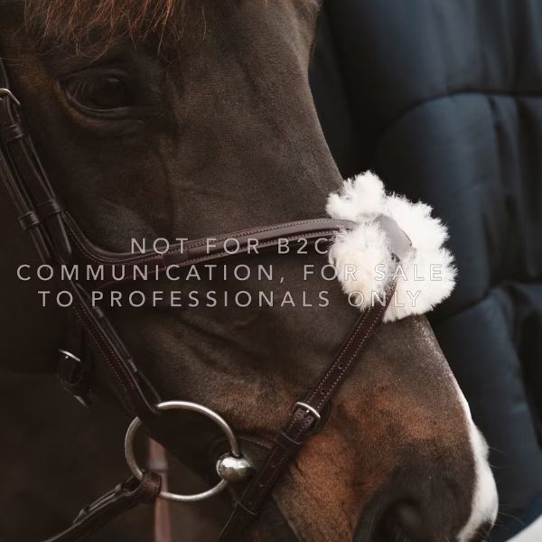 Dy'on New English Collection Figure 8 Noseband with Chain - Image 5