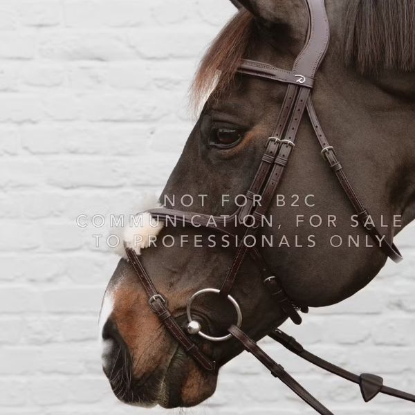 Dy'on New English Collection Figure 8 Noseband with Chain - Image 6