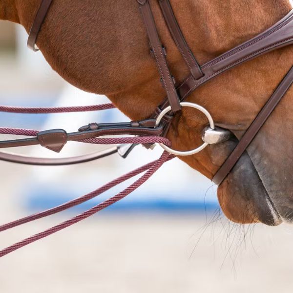 Dy'on New English Collection Leather/Nylon Draw Reins 5/8" - Image 2