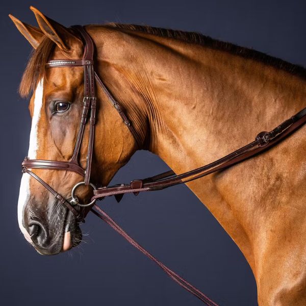 Dy'on New English Collection Leather/Nylon Draw Reins 5/8" - Image 3