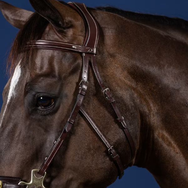 Dy'on US Jumping Collection Hackamore Bridle - Image 4