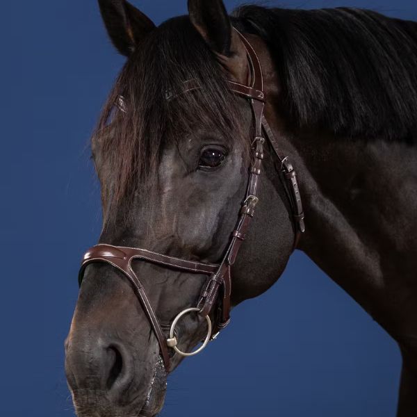 Dy'on US Jumping Collection X-Fit Bridle - Image 2