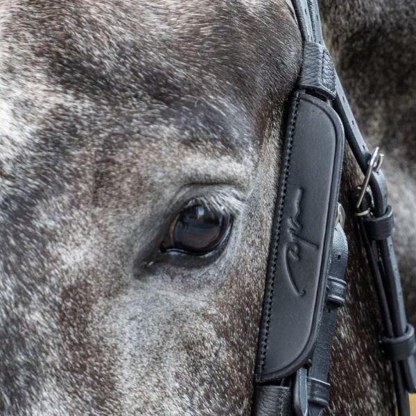 Dy'on Working Collection Blinkers - Image 2