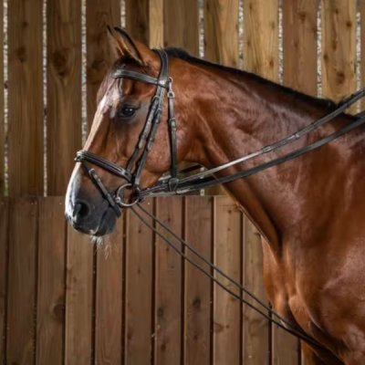 Dy'on Working Collection Leather/Nylon Draw Reins 5/8"