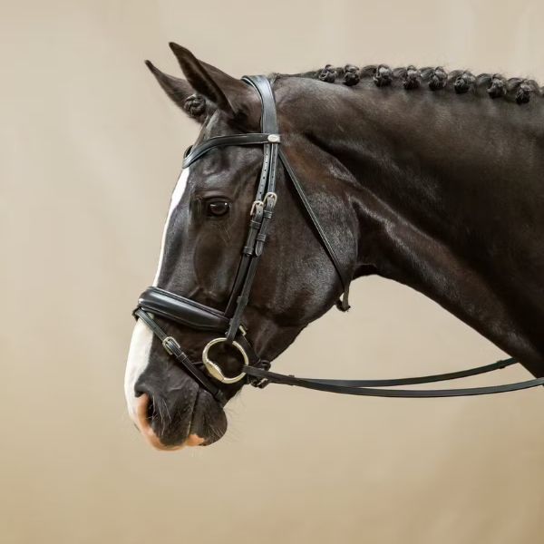 Dy'on Working Collection Matte Large Crank Noseband Bridle With Flash - Image 2