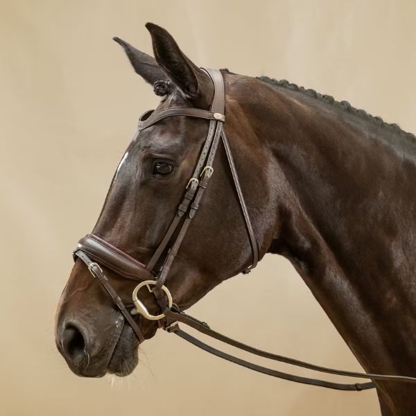 Dy'on Working Collection Matte Large Crank Noseband Bridle With Flash - Image 3
