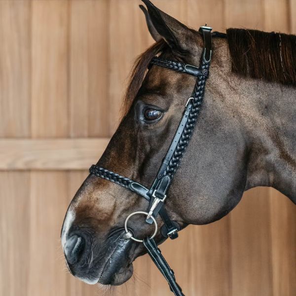 Dy'on Working Collection Plaited Training Bridle - Image 3